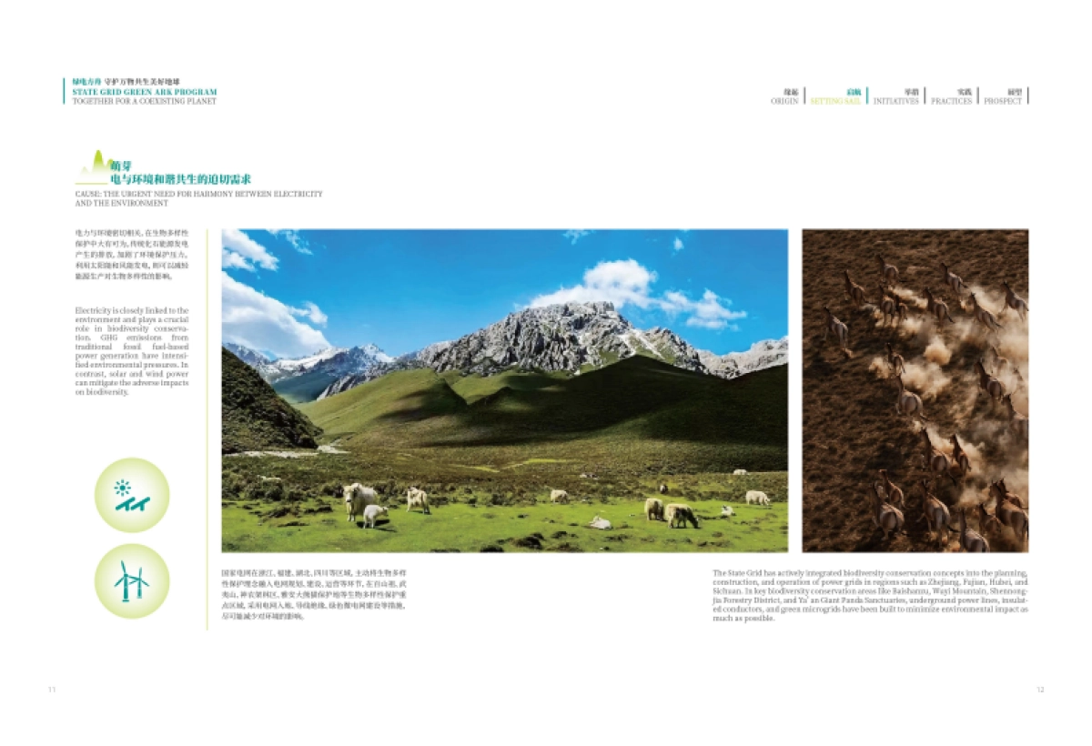 绿电方舟—守护万物共生美好地球_第9页