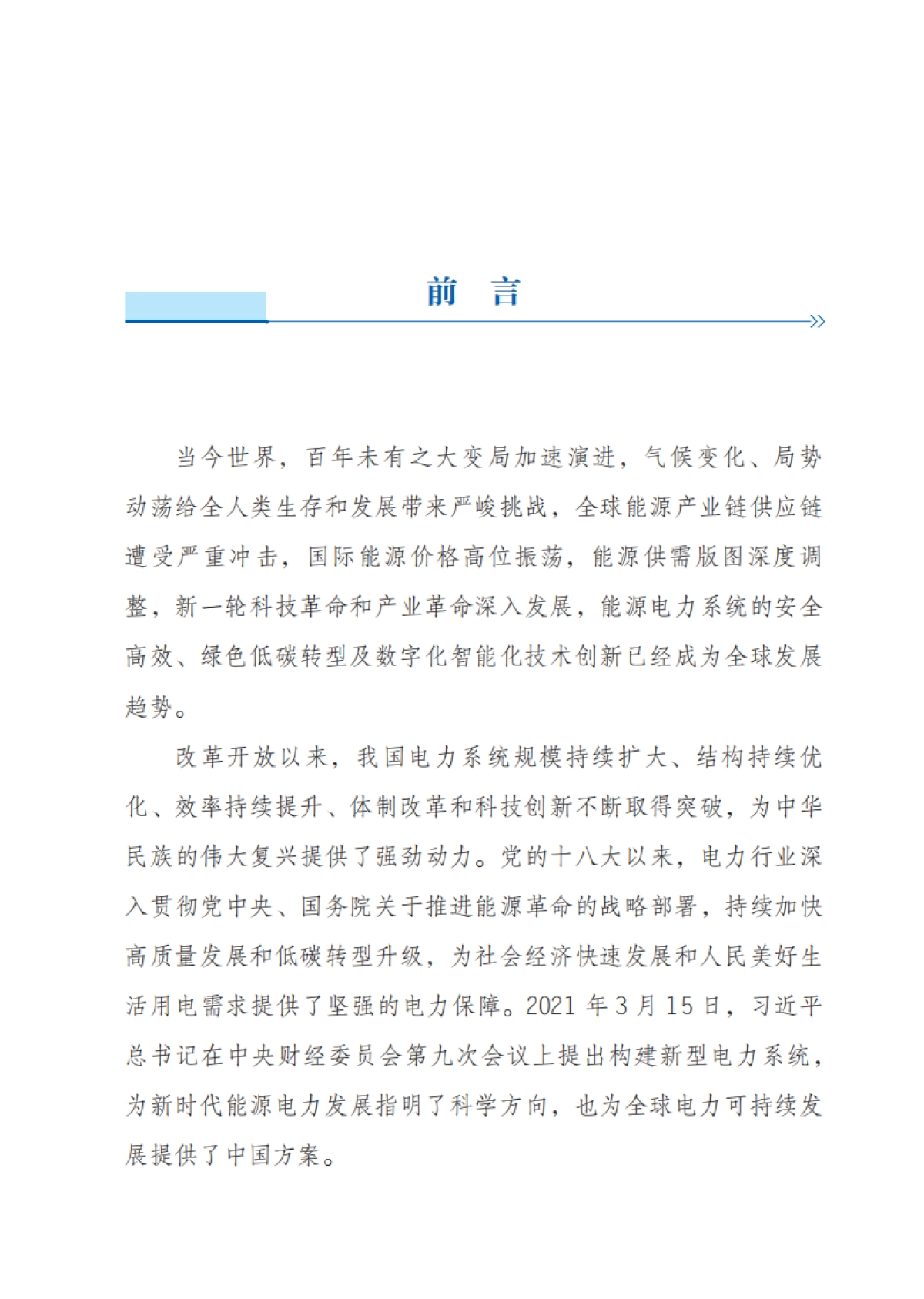 新型电力系统发展蓝皮书_第3页