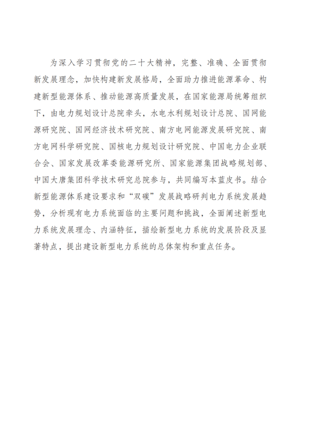 新型电力系统发展蓝皮书_第4页