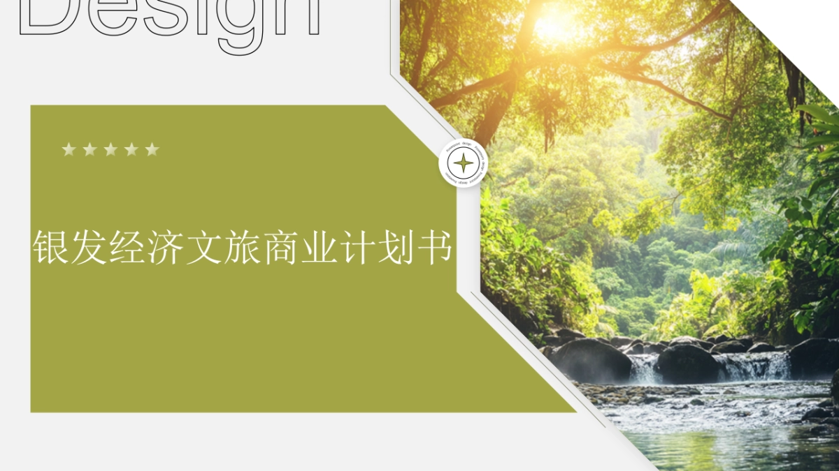 银发经济文旅商业计划书_第1页