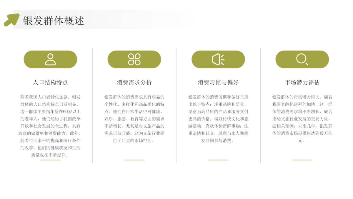 银发经济文旅商业计划书_第4页