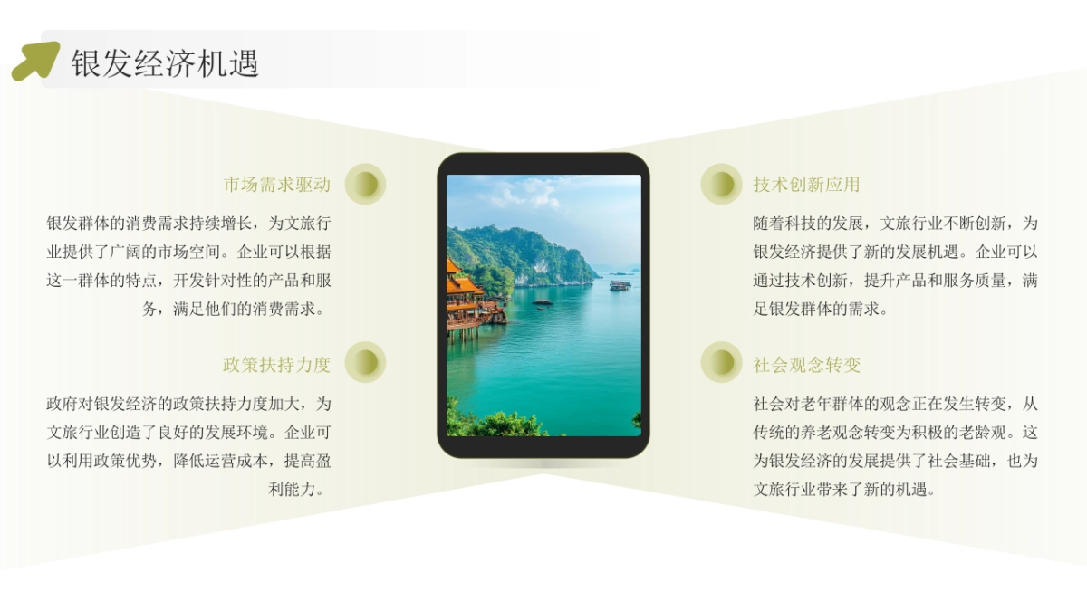 银发经济文旅商业计划书_第6页