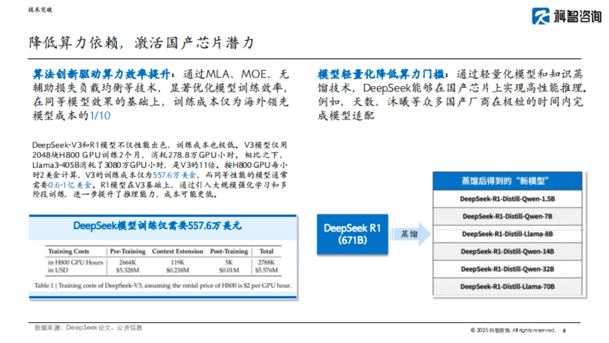 2025年DeepSeek对国产芯片的影响报告_第9页