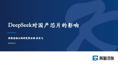 2025年DeepSeek对国产芯片的影响报告