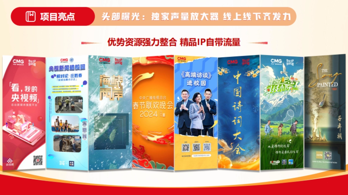 2025年总台IP进校园商务合作方案_第7页