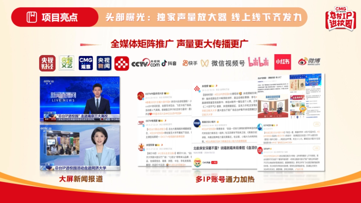 2025年总台IP进校园商务合作方案_第8页