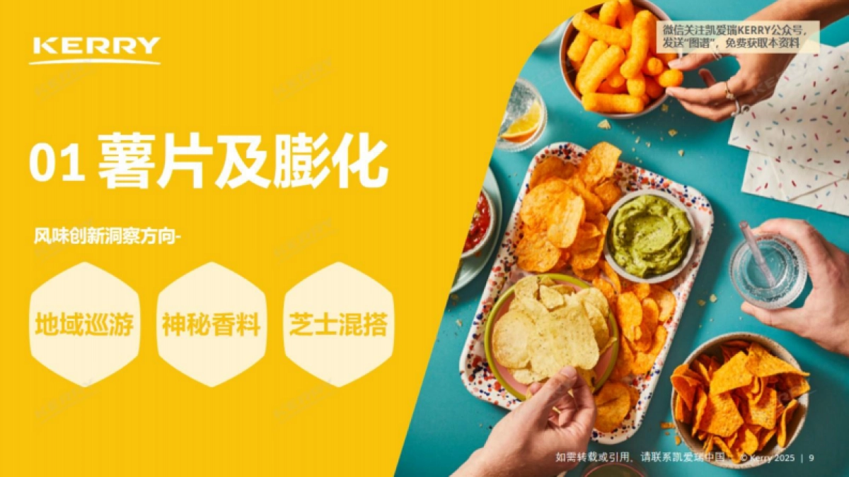 2025中国咸味零食风味图谱_第9页