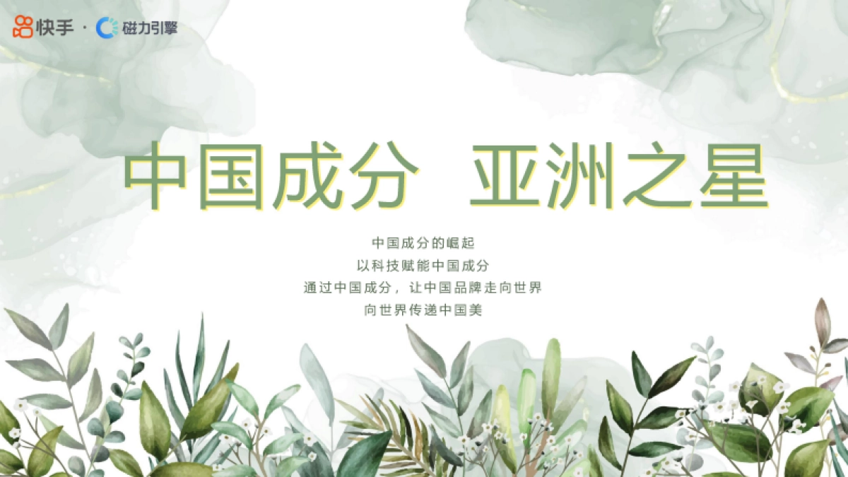 快手中国成分IP第二季招商方案_第1页