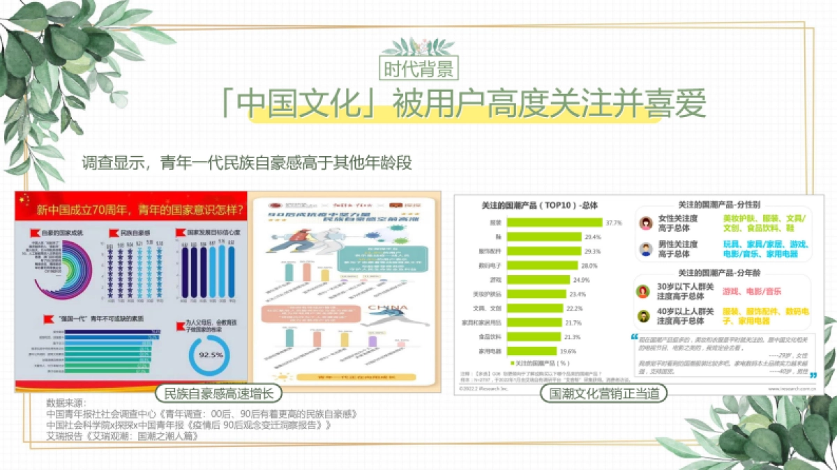 快手中国成分IP第二季招商方案_第3页