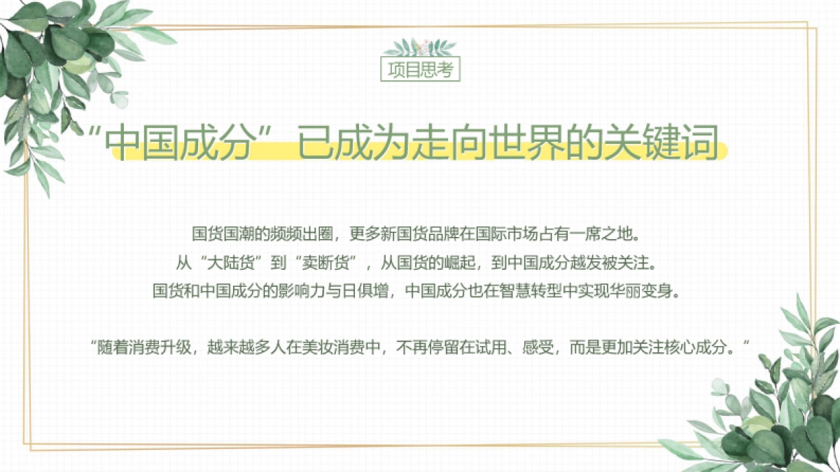 快手中国成分IP第二季招商方案_第4页