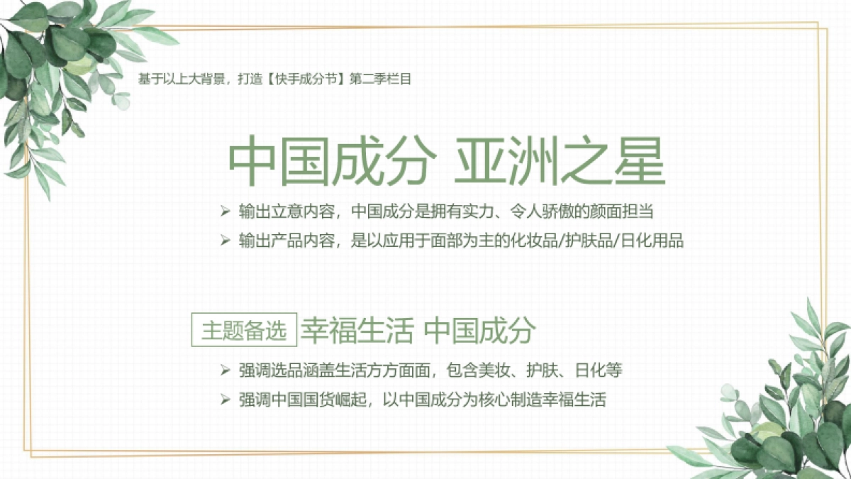 快手中国成分IP第二季招商方案_第8页