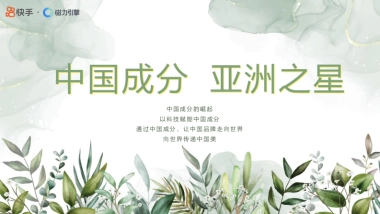 快手中国成分IP第二季招商方案