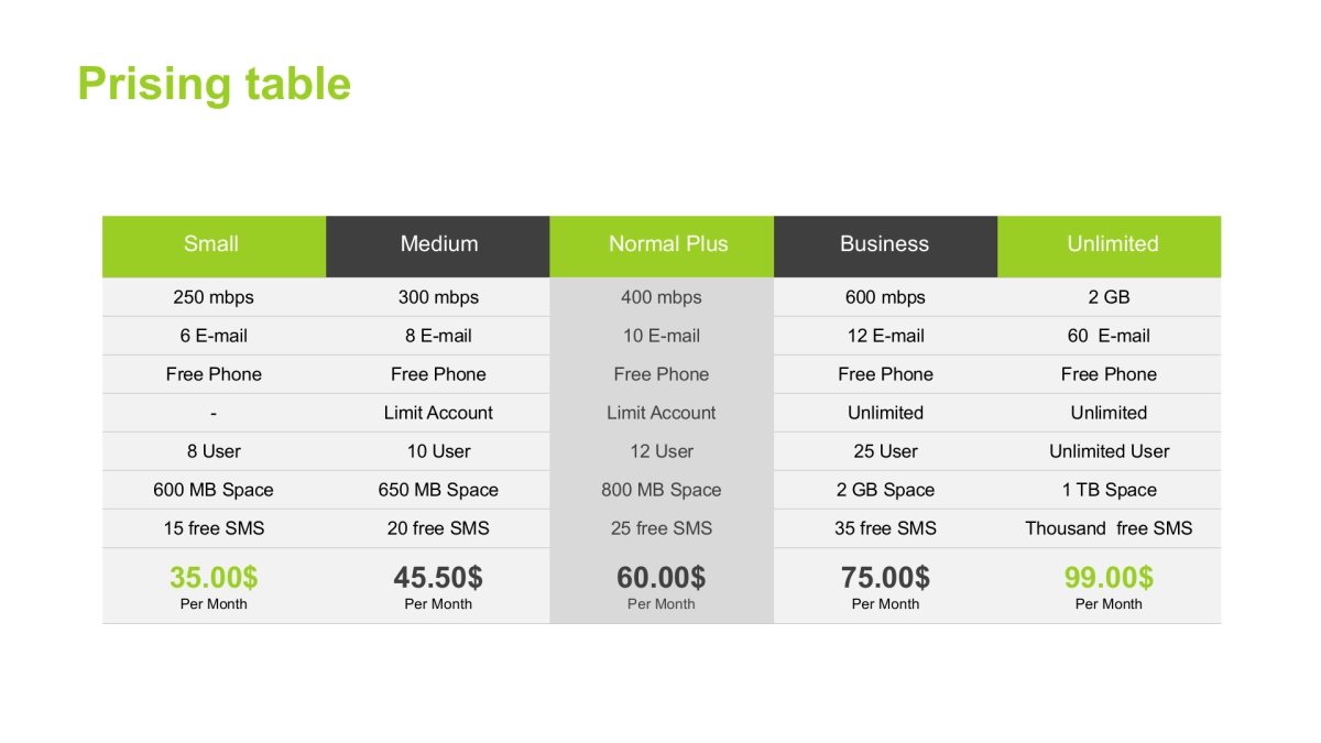甘特图（绿色 30P PPT）_第5页