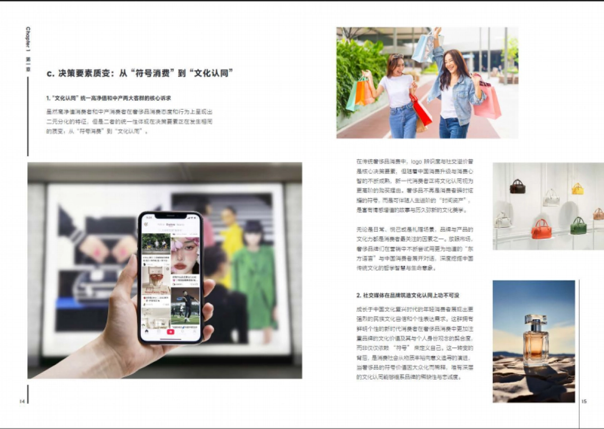 2025奢品行业白皮书_第8页