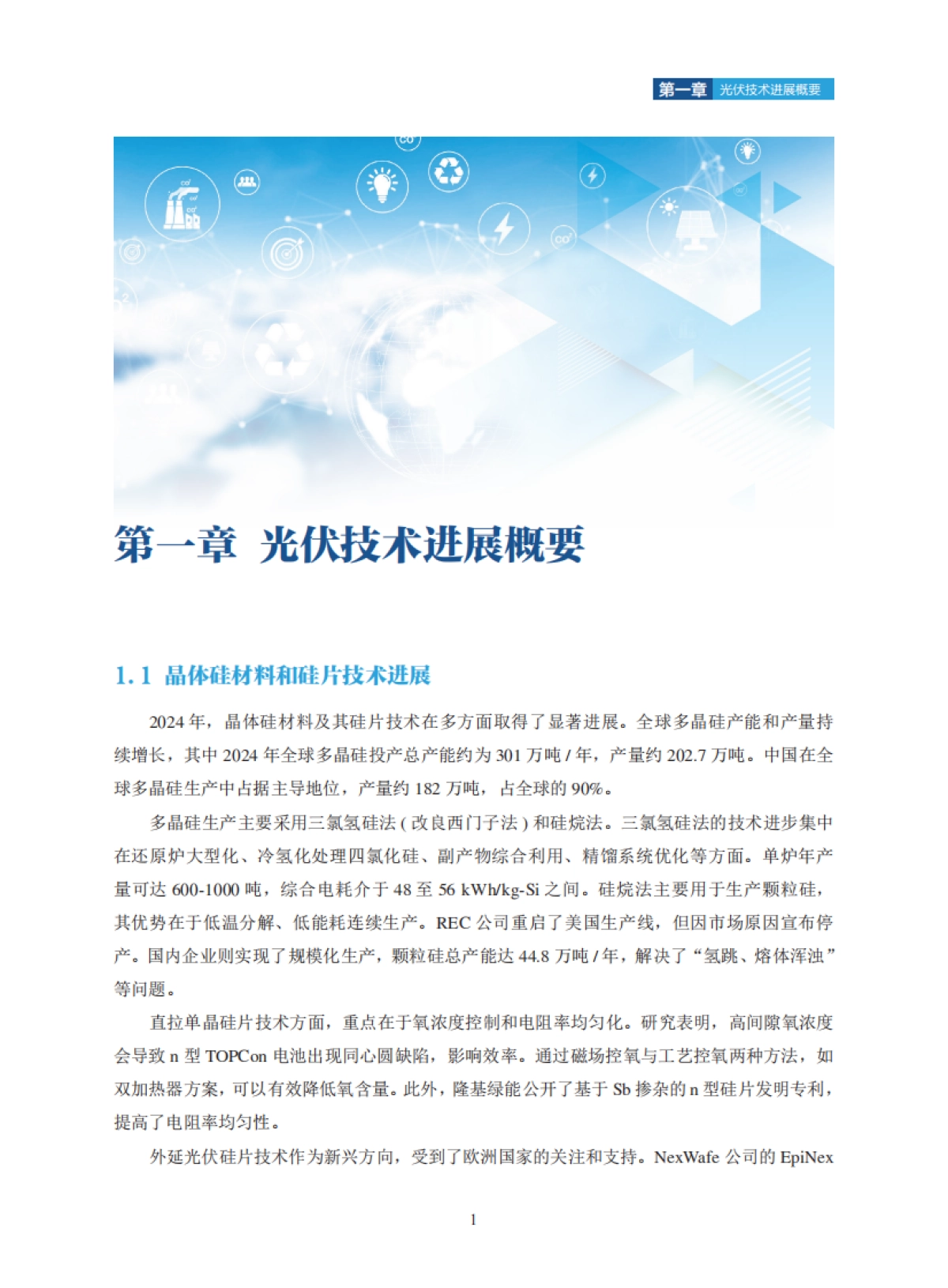 2025年中国光伏技术发展报告_第5页