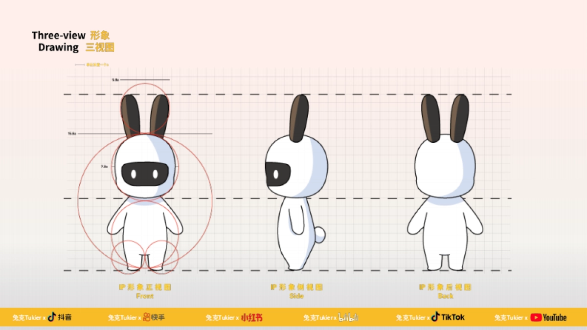 兔克Tukier-IP分享手册_第3页