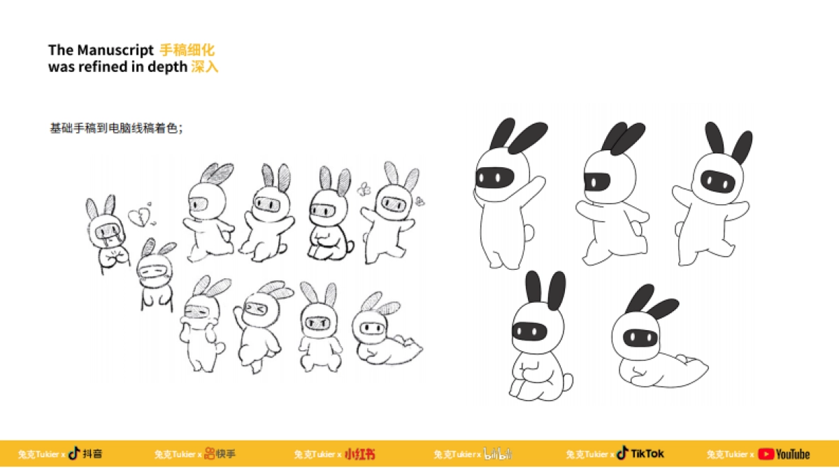 兔克Tukier-IP分享手册_第4页