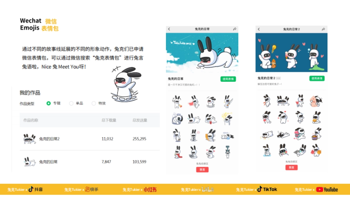 兔克Tukier-IP分享手册_第6页