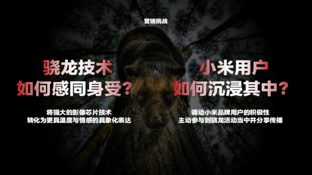 骁龙,共赴芯视界 高通&小米_第4页