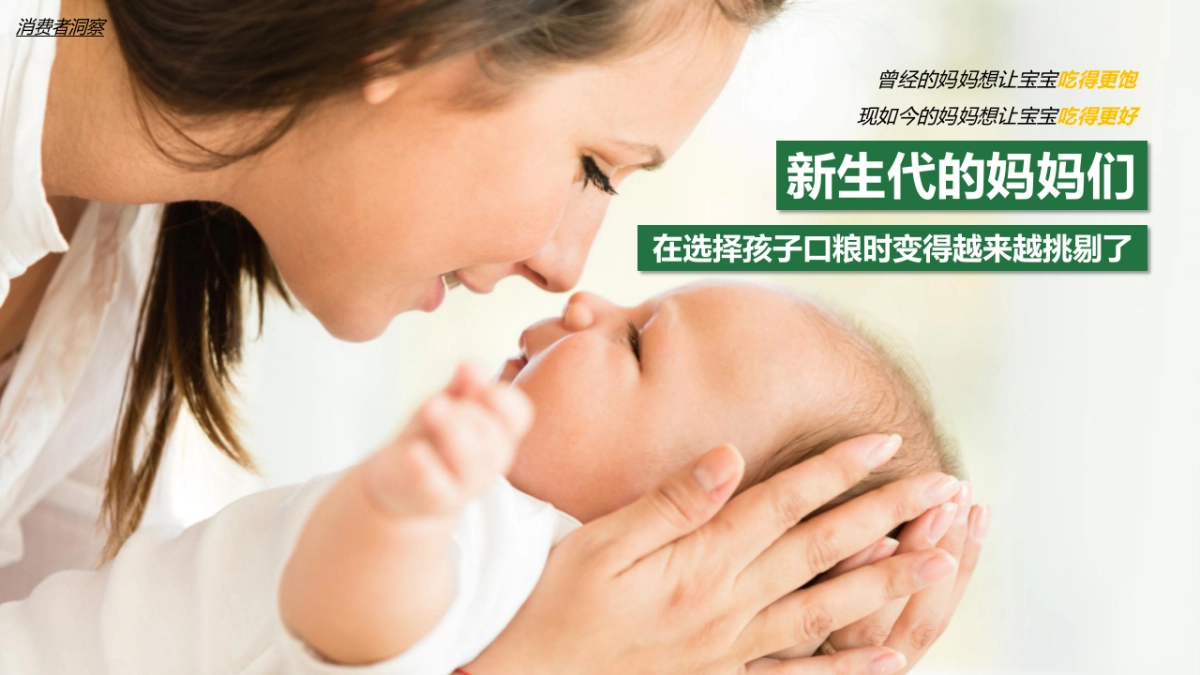 铂臻有机Q4营销方案_第2页