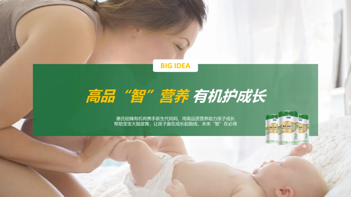 铂臻有机Q4营销方案_第6页