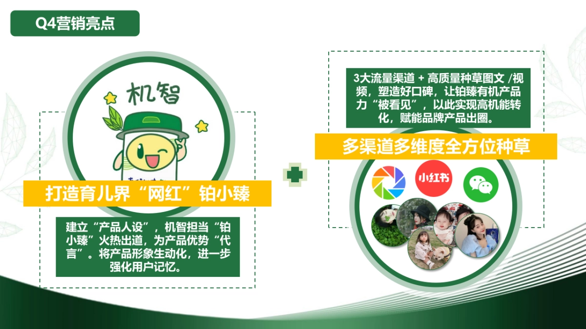 铂臻有机Q4营销方案_第9页