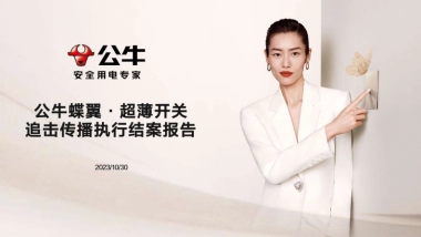 公牛追击传播整合营销传播项目