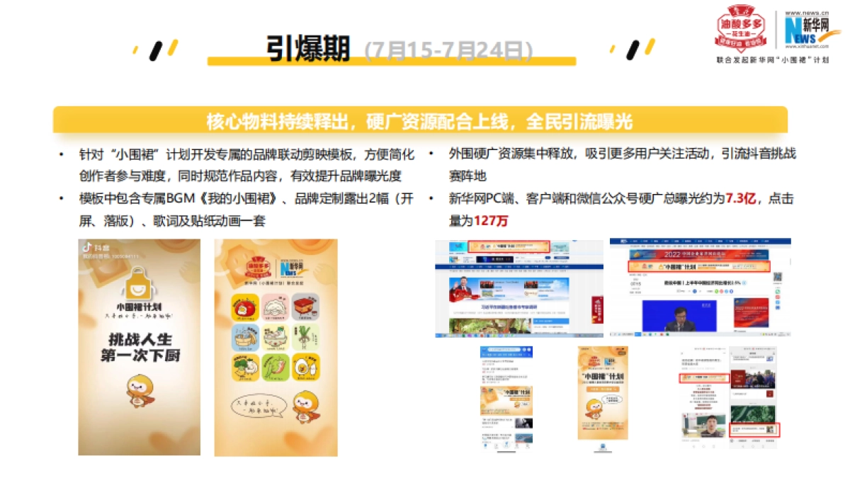 粮油花生油小围裙计划暑期儿童美食整合营销方案_第10页