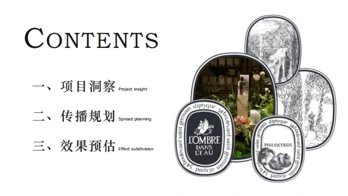 diptyque香水下半年淘宝内容营销方案_第2页
