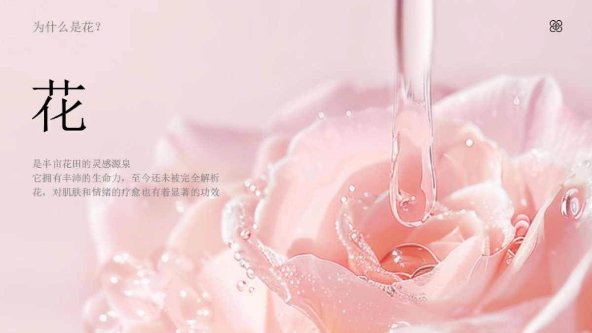 半亩花田品牌介绍_第5页