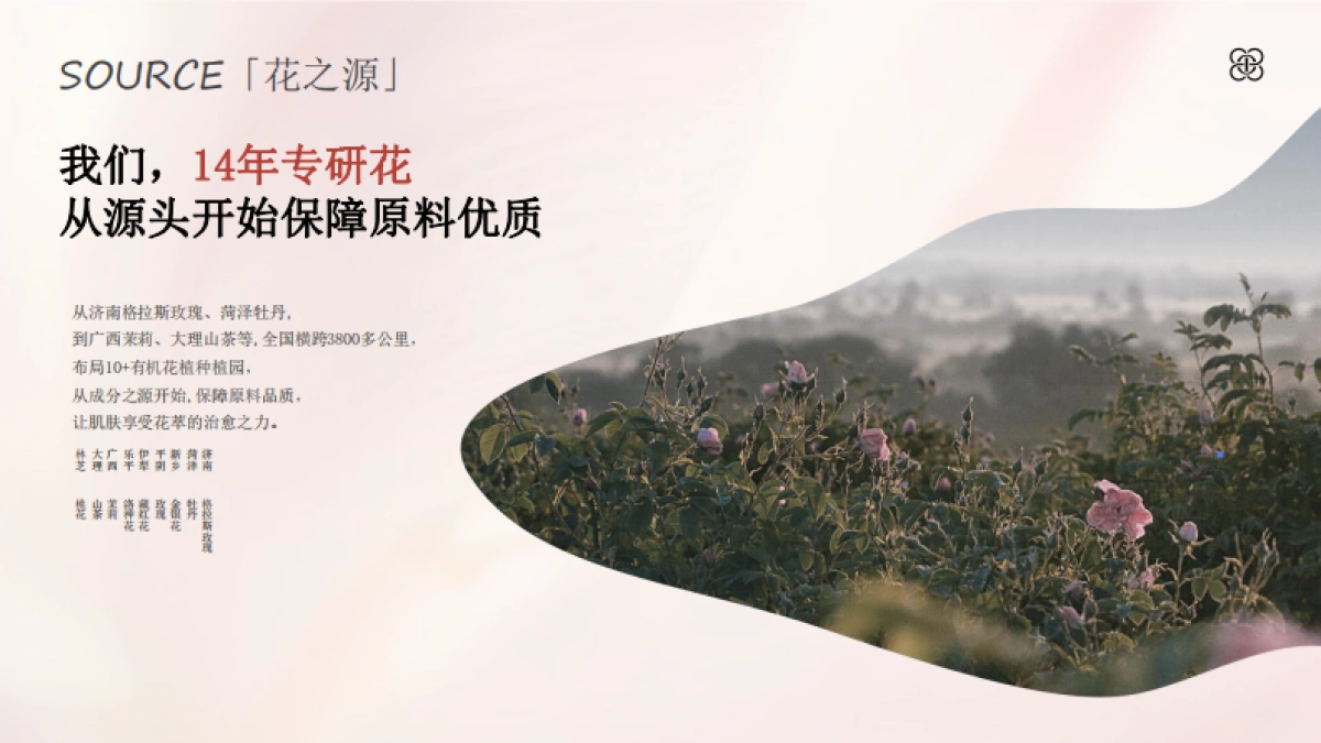 半亩花田品牌介绍_第6页