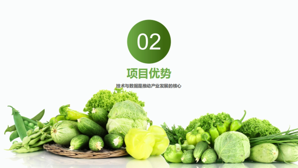 活着的蔬菜数字菜篮子项目简介合作手册_第10页