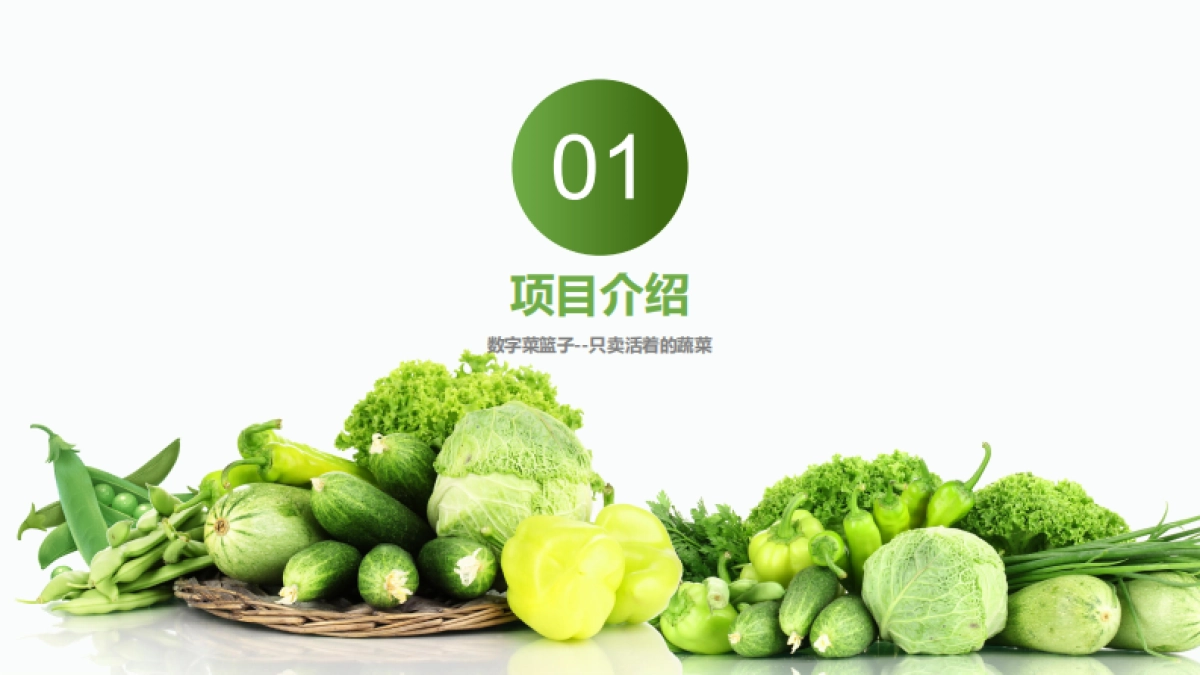 活着的蔬菜数字菜篮子项目简介合作手册_第3页