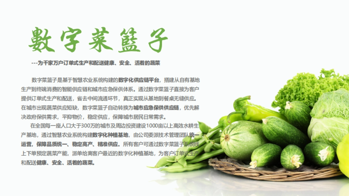 活着的蔬菜数字菜篮子项目简介合作手册_第4页