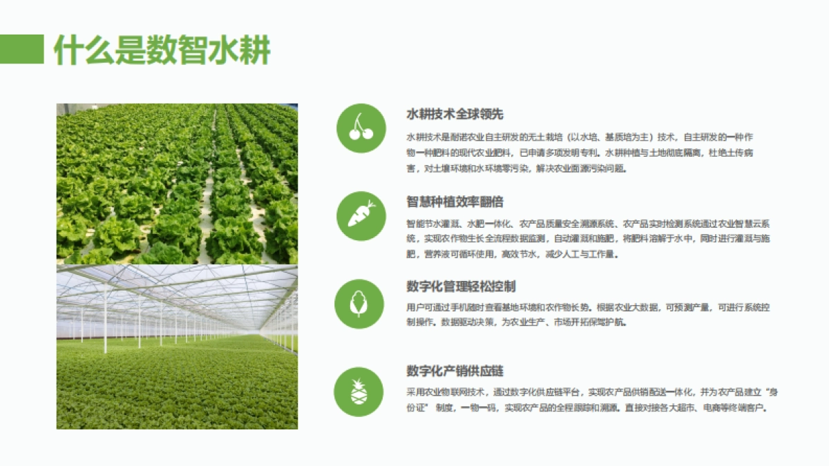 活着的蔬菜数字菜篮子项目简介合作手册_第5页