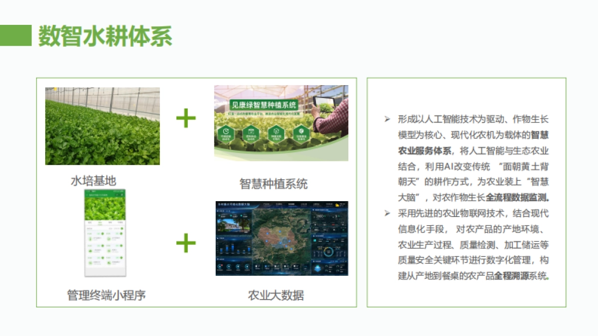 活着的蔬菜数字菜篮子项目简介合作手册_第6页