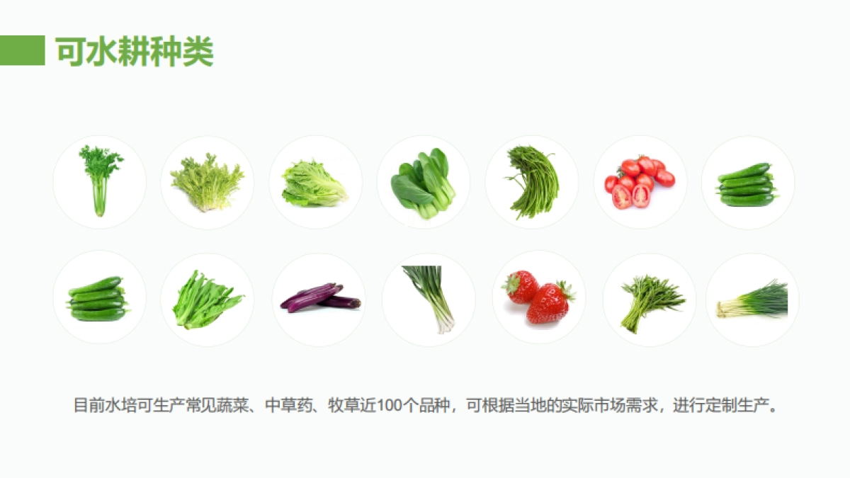 活着的蔬菜数字菜篮子项目简介合作手册_第7页