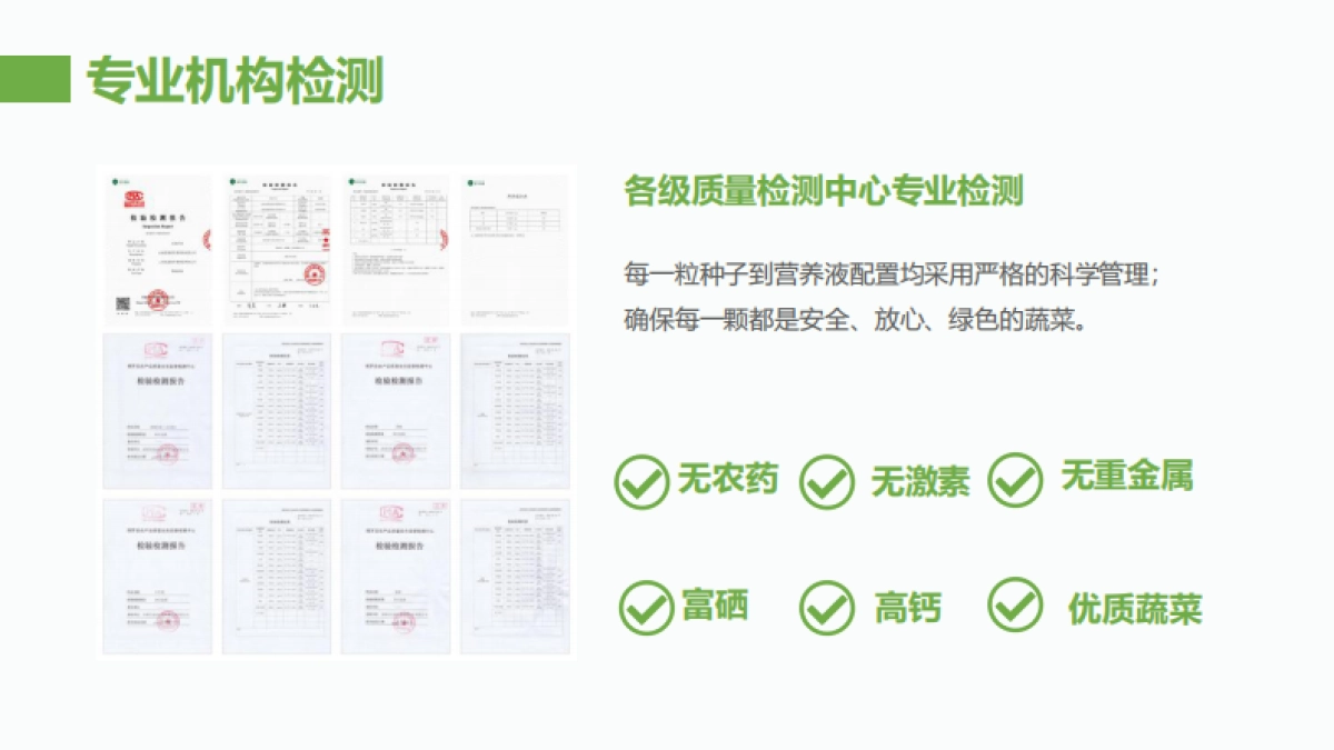 活着的蔬菜数字菜篮子项目简介合作手册_第9页