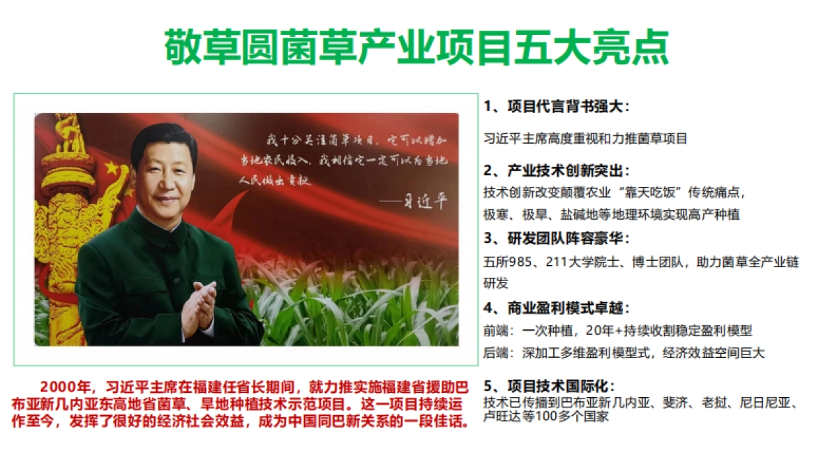 敬草圆菌草农业产业商业计划书_第3页