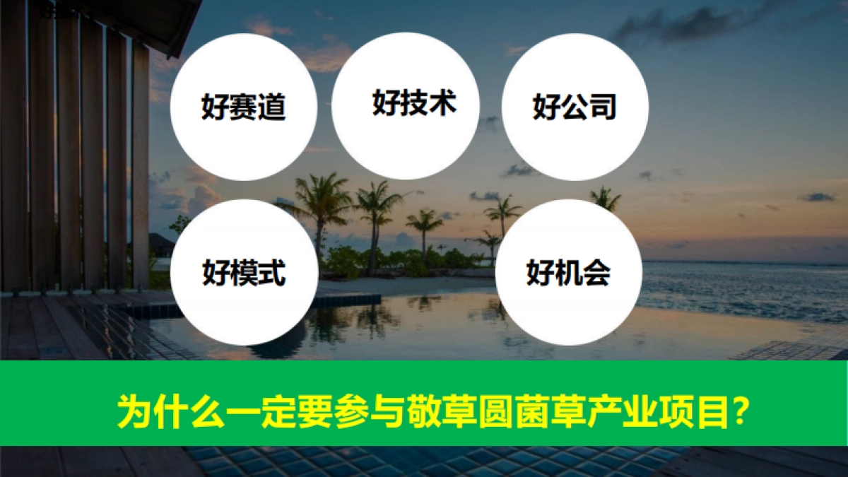 敬草圆菌草农业产业商业计划书_第4页