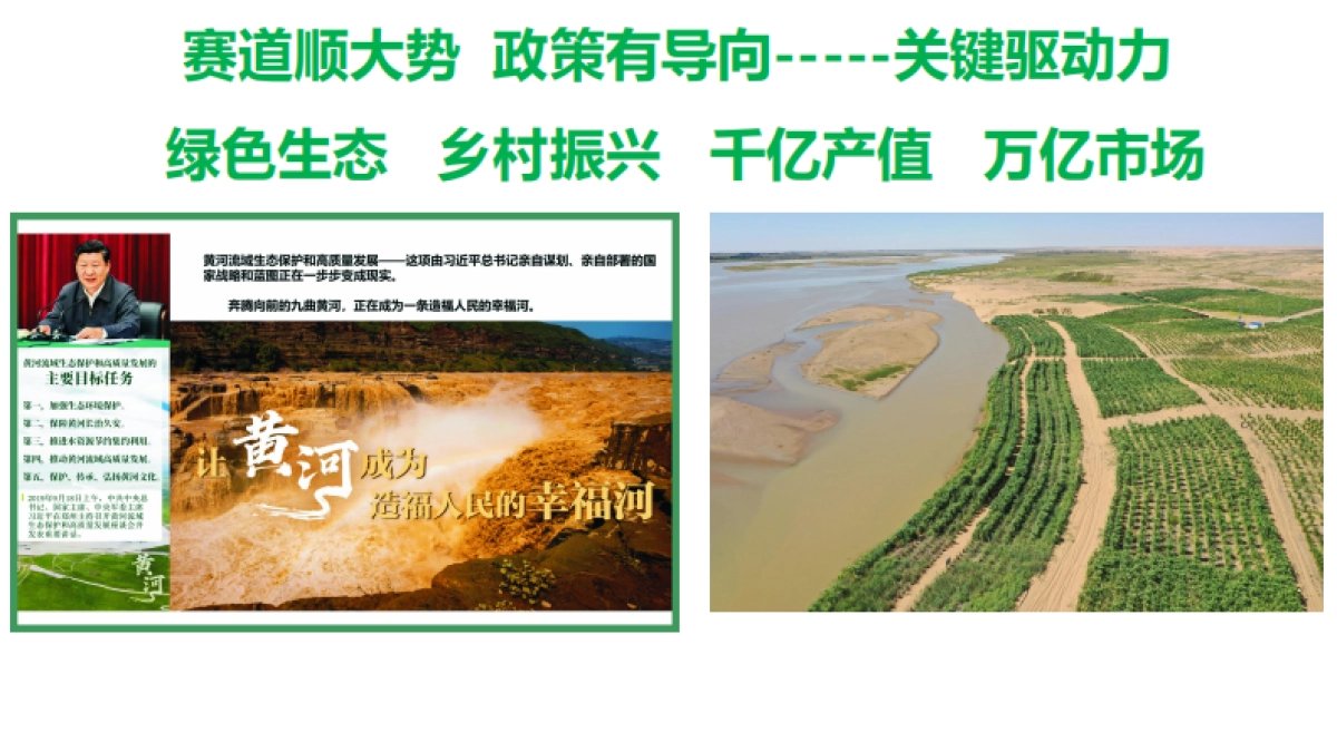 敬草圆菌草农业产业商业计划书_第6页