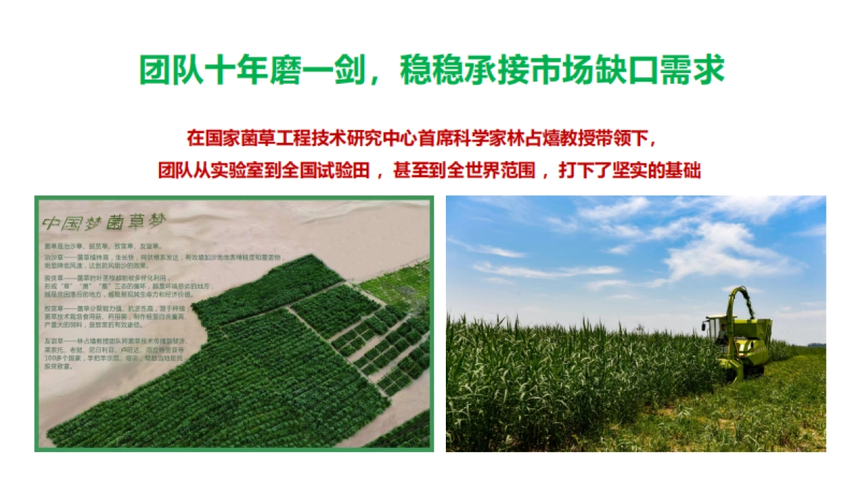 敬草圆菌草农业产业商业计划书_第9页