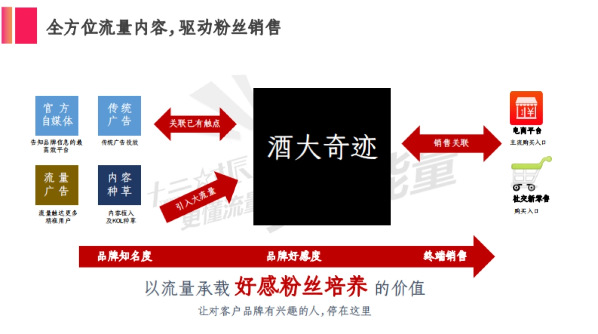 酒大奇迹植物饮料品牌合作推广全案_第3页