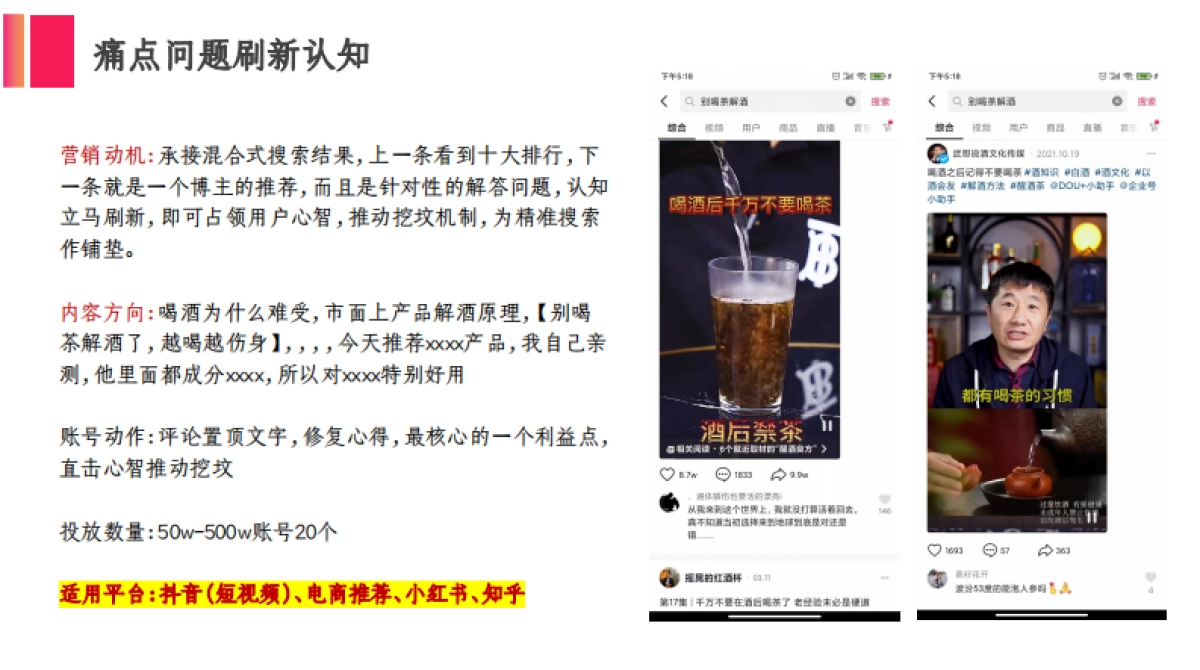 酒大奇迹植物饮料品牌合作推广全案_第5页