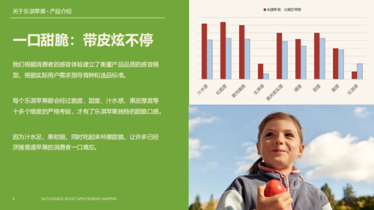 乐淇苹果品牌手册_第6页