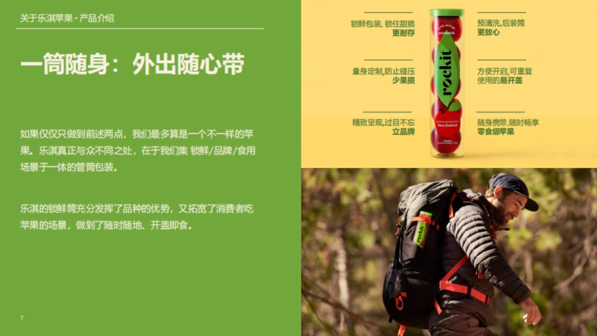 乐淇苹果品牌手册_第7页