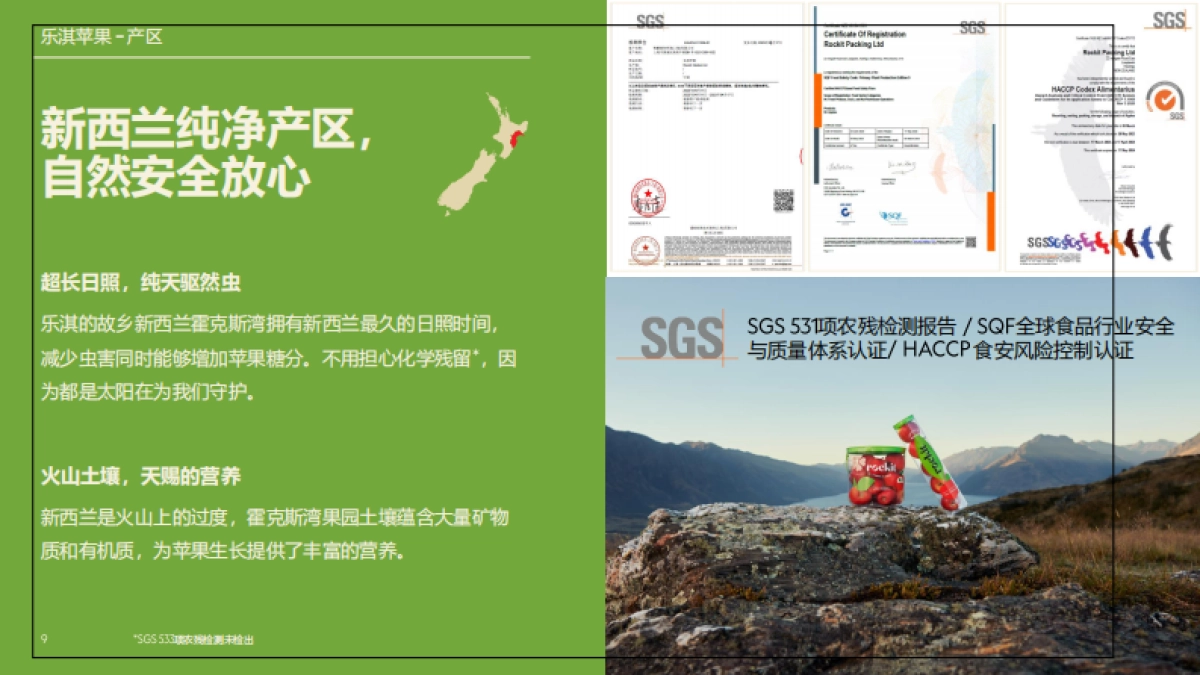 乐淇苹果品牌手册_第9页