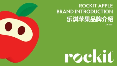 乐淇苹果品牌手册