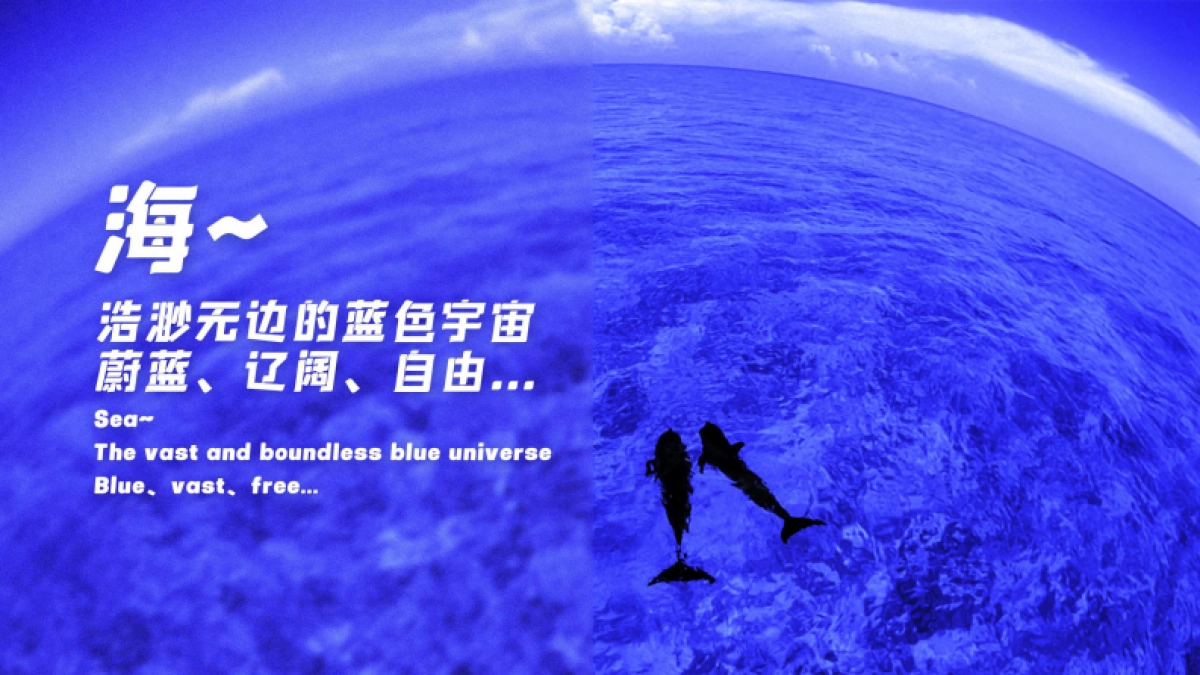 石梅湾国际潜水节策划方案_第2页