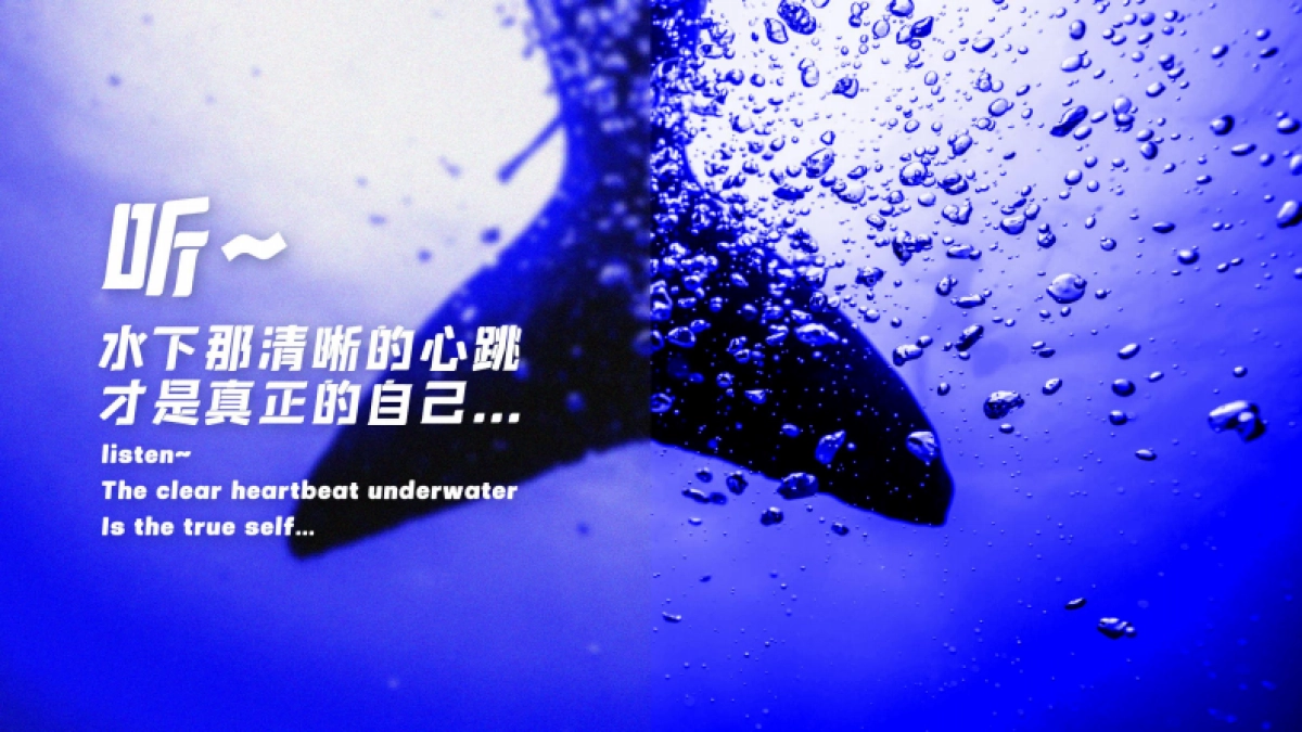 石梅湾国际潜水节策划方案_第4页